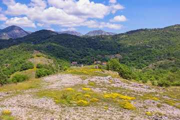 Fototapeta na wymiar Beautiful summer mountain landscape. Dinaric Alps. Montenegro, Sitnica