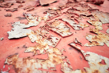 detail of cracked paint of old beetle classic car abandoned in a backyard