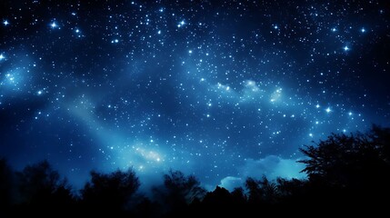 Fototapeta na wymiar a starry night sky over trees