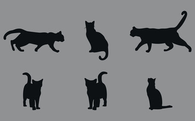 A six piece collection of black cat silhouettes. Vector on gray background.