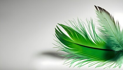 background with feather, Ai generated 