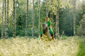 Barefoot woman rider on Icelandic horse in sunny Finnish brirch  forest during sunset. Fairytale...