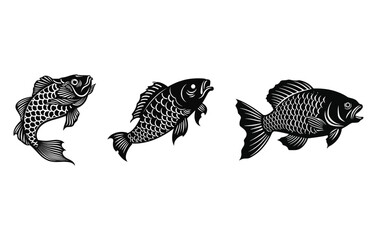 Carp Fish Logo. Unique and fresh Carp fish jumping out of the water. Great to use as your Carp fishing Activity
