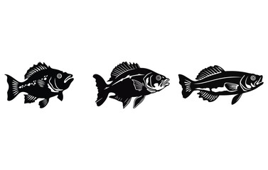 Perch illustration of freshwater,Perch Fish Icon illustration
