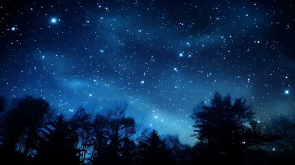 Fototapeta na wymiar a starry night sky over trees