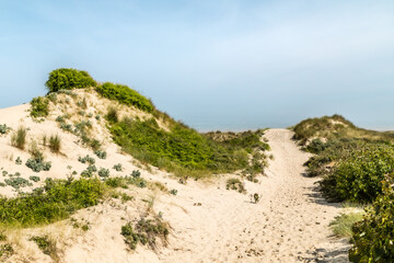 Fototapeta na wymiar the dunes of Flanders, in the north of France