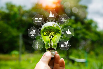 green tree in bulb on green background, eco green energy system. Innovation technology eco energy.light bulb energy sources for renewable. idea innovation inspiration.Net zero emission concept..
