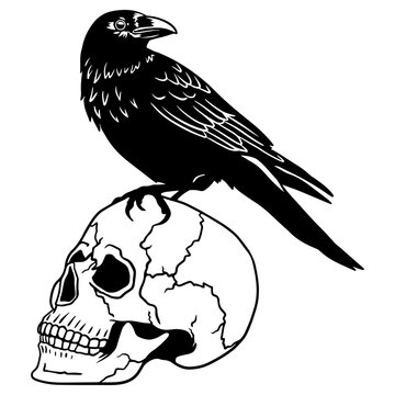 recommend clip art: Magic Crow sits on a skull. Raven sketch. Vintage engraving Mystical element in boho style. Doodle outline. Esoteric occult Hand drawing. Vector illustration.For Print, Vinyl Cutting, Scrapbooking