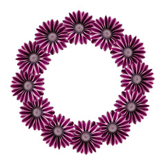 Flower arrangement of a round shape. Pink  and purple   flowers isolated on white background. Wedding design element. Festive flower arrangement. Border of flowers. Frame flowers. Copy space.