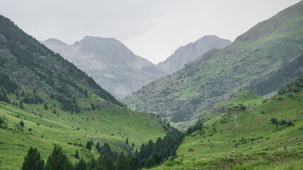 Fototapeta na wymiar Mountain landcape of a green valley and high mountains