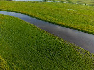 Photos of the river island were taken from a drone. Bolshoy Ussuriysky Island is a large river island on the Amur River and below the mouth of the Ussuri in the Khabarovsk Territory. 