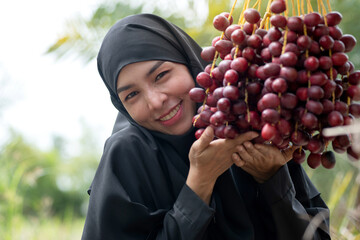 Close up, Muslim woman in black hijab with Red date palm Muslim woman is happy when she sees the...