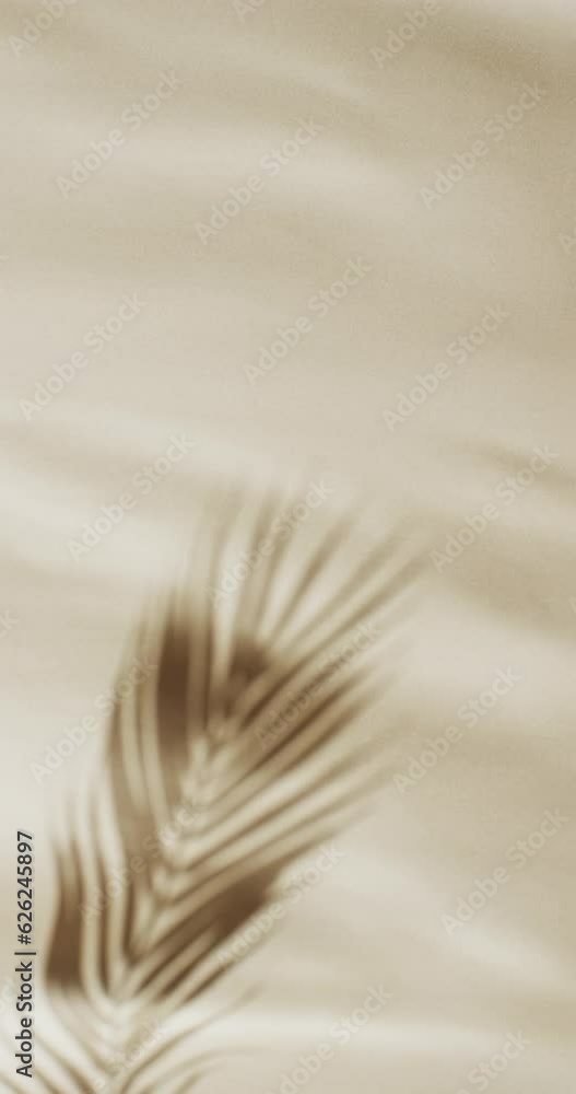 Aufkleber vertical video of shadow of palm tree leaf moving with copy space over cream background