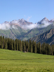 landscape with trees and mountains