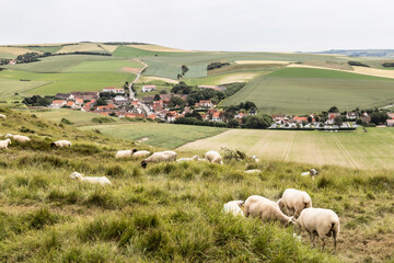 Cap Blanc-Nez in the north of France