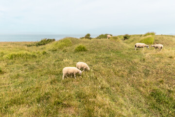 Obraz premium Cap Gris-Nez in northern France