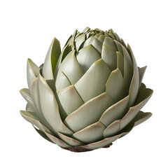 Obraz premium Isolated Artichoke: Fresh and Healthy on White Background- AI Generated