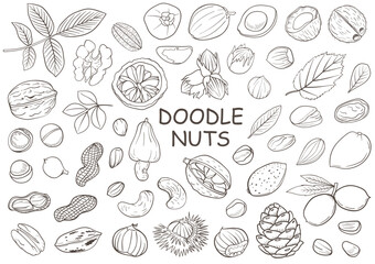 Fototapeta na wymiar Set of hand drawn doodle nuts