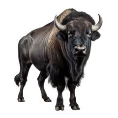 Foto op Plexiglas Buffel buffalo looking isolated on white