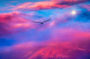Ethereal Sunset Bird Inspirational Surreal Divine Spiritual Star