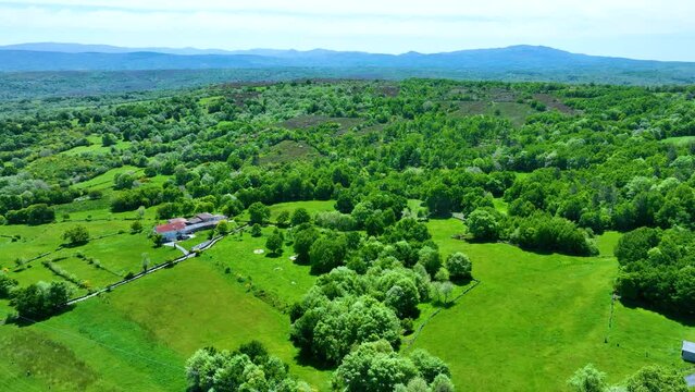 Spring landscape around the Hermitage of Trigu&aacute;s in Parada de Sil. Land of Caldelas region. Ribeira Sacra. Ourense. Galicia. Spain. Europe