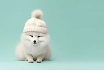 Deurstickers Poolvos Cute baby polar fox with white winter cap, sitting in green snow. Generative AI.
