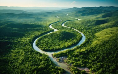 Beautiful aerial view of a river with multiple paths and meanders surrounded by green trees and vegetation.