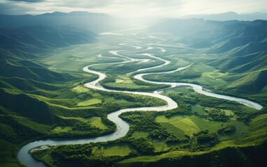 Beautiful aerial view of a river with multiple paths and meanders surrounded by green trees and vegetation. - obrazy, fototapety, plakaty