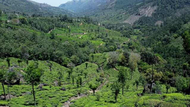 Beautiful green landscape Aerial View Of Munnar Tea Plantations, Kerala, South India