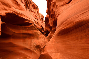 RattleSnake Slot Canyon Arizona