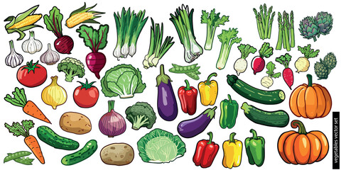 Popular vegetables drawing vector set