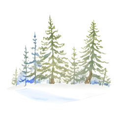 Watercolor winter forest illustration Christmas design, spruce. Nature, holiday background, conifer, snow, outdoor, snowy rural landscape. Fir or pine trees for winter