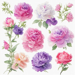 watercolor delicate stickers flowers illustration