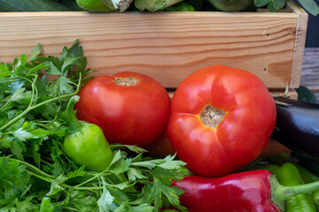Various vegetables on a wooden table. Tomato, Green Pepper, Red Pepper, Parsley, Eggplant.