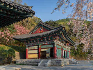 Cheonan Buddhist temples