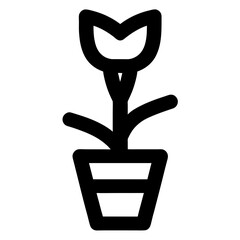 flower in a pot