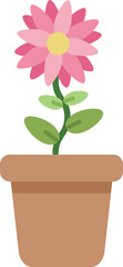 Pink beautiful flower in a pot