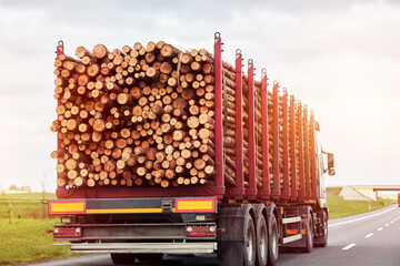 Timber Truck Transporting Logs. Exporting Wood on a Highway with a Trailer Full of Logs. A truck is transporting logs on a semi-trailer on a suburban asphalt highway on a summer day.