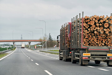 Delivery truck on the Europe highway. Semi-truck with cargo trailer driving at the tunnel. Fast moving truck. Lorry driver rides his modern truck