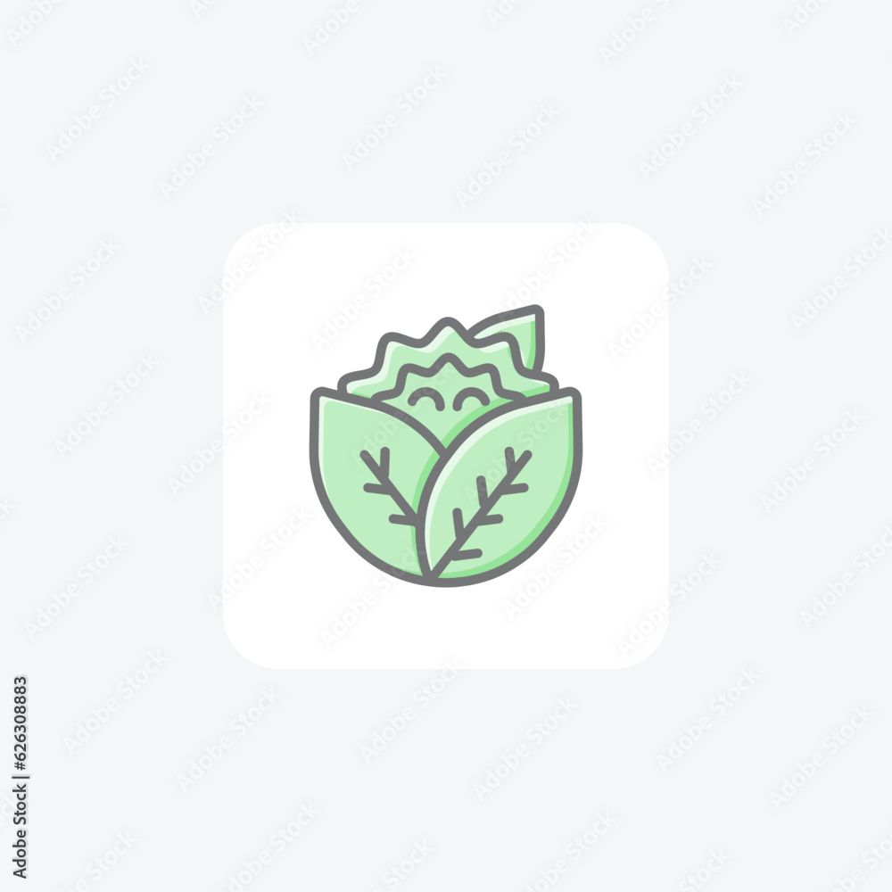 Wall mural fresh cauliflower vector awesome fill icon