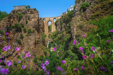Cercles muraux Ronda Pont Neuf Puente Nuevo Bridge with El Tajo Gorge Waterfall and Flowers - Ronda, Andalusia, Spain