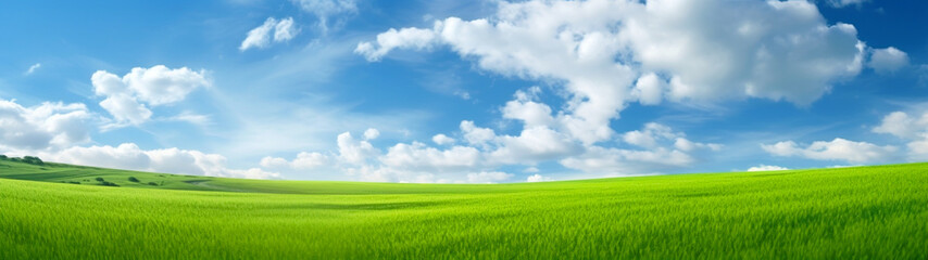 Banner with green grass field and blue sky background. Beautiful nature landscape. Generative AI