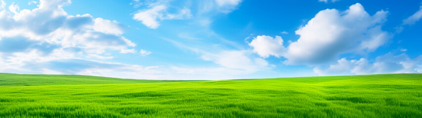 Fototapeta na wymiar Banner with green grass field and blue sky background. Beautiful nature landscape. Generative AI