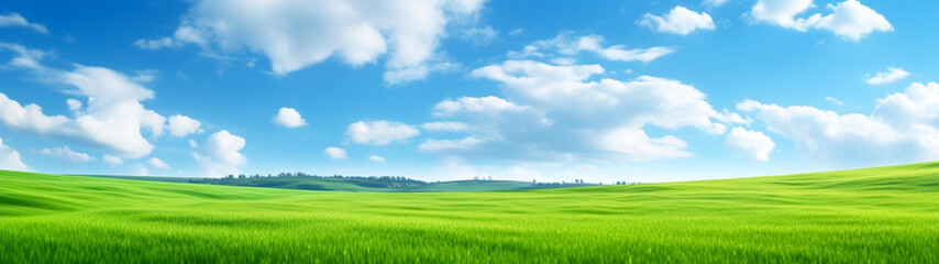 Fototapeta premium Banner with green grass field and blue sky background. Beautiful nature landscape. Generative AI