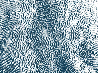 Nature Pattern. Organic Texture. Coral 3D Ornament. Maze Coral Abstract Pattern. Wavy Organic Rounded Lines. Endless Drawing Print.