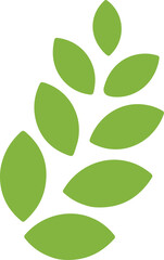 Fototapeta premium green leaves on white background