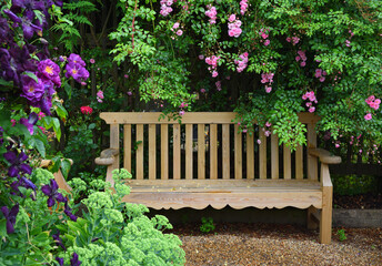 Garden Bench and Climbing Rose with other plants