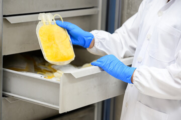 Doctor hand wearing blue gloves holding fresh frozen plasma bag in storage blood refrigerator at...