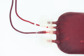 Blood pack for transfusion from donor.Full blood bag for accident's patient on white background in...