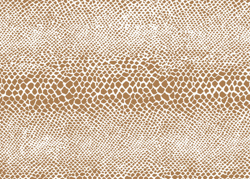 Natural pattern. Snake skin texture. Repeating seamless monochrome. Vector. Animal print. Fashionable  and stylish background.